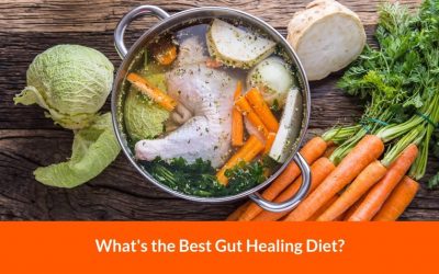 What is the Best Gut-Healing Diet?