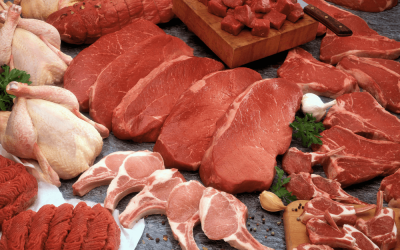 Does the Carnivore Diet Cause Constipation?